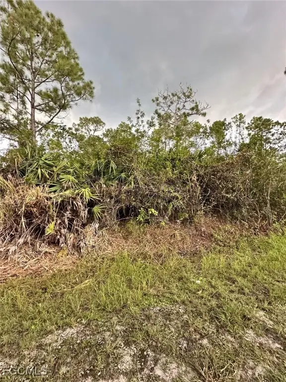 1504 Cleveland Avenue, Lehigh Acres, FL 33972 - #3