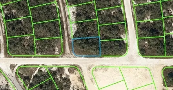 446 Fawnwood Avenue, Lake Placid, FL 33852 - Image #2