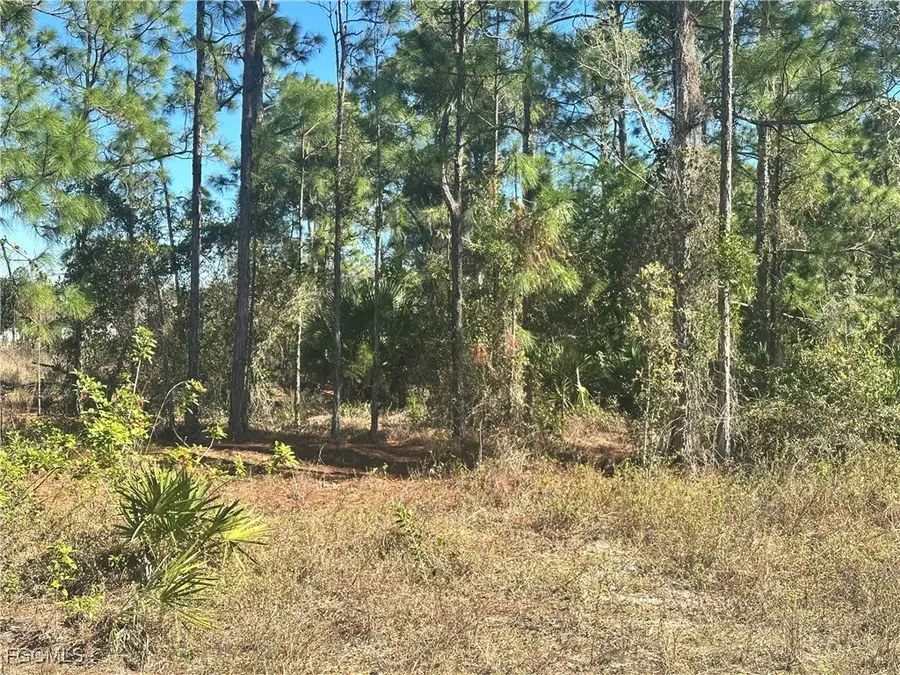 849 Knox Avenue S, Lehigh Acres, FL 33974 - Image #3