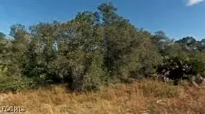 4227 E 29th Street, Alva, FL 33920 - Image #2