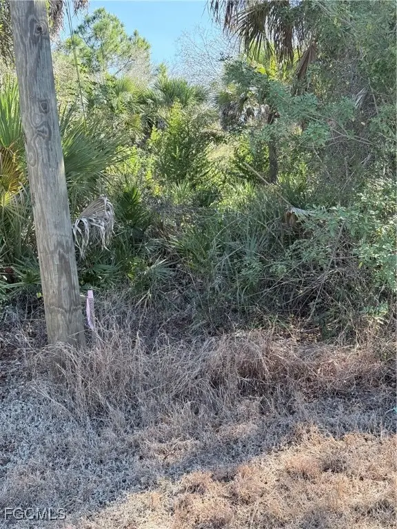 5013 Gunn Street, Labelle, FL 33935