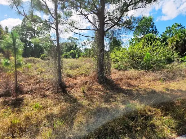 951 Chadwick Avenue, Lehigh Acres, FL 33974