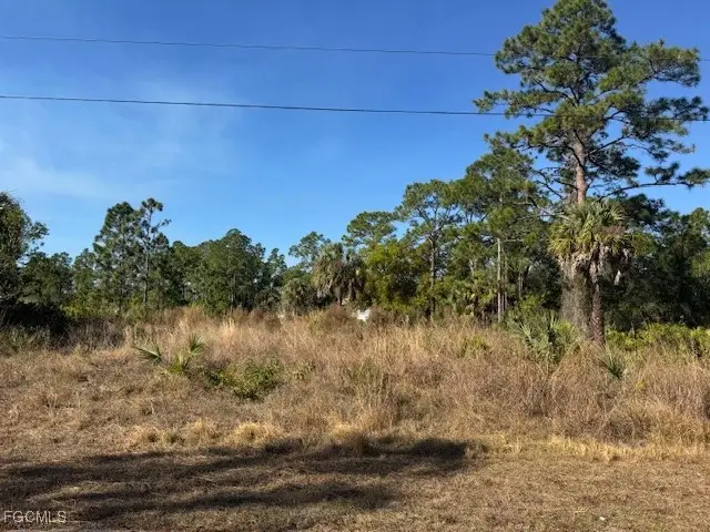 2117 Moore Avenue, Alva, FL 33920 - Image #2