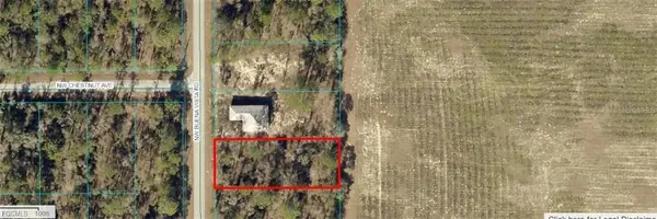 Tbd Nw Buena Vista Road, Dunnellon, FL 34431