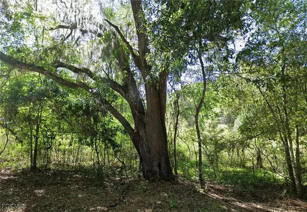 147 SW Liberty Gln, Fort White, FL 32038