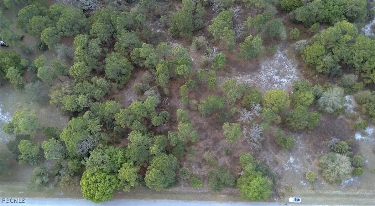 260 N Olivo Street, Montura, FL 33440 - #1