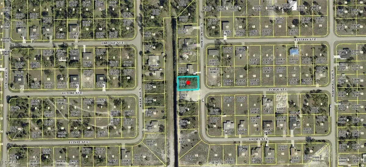 1020 Manikin Avenue S, Lehigh Acres, FL 33974 - #1