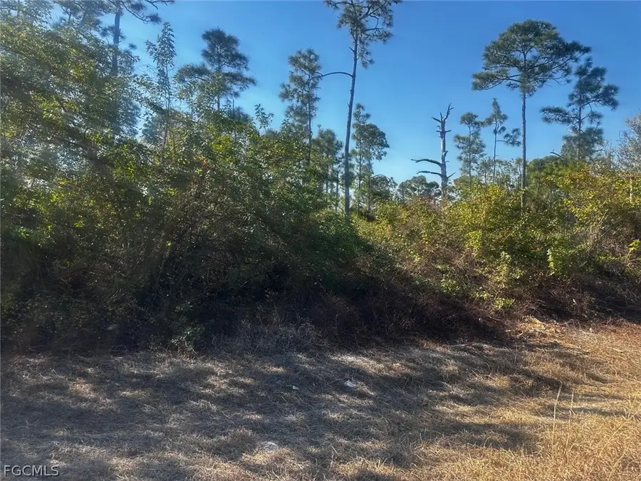 460 Lackey Avenue S, Lehigh Acres, FL 33974 - #3