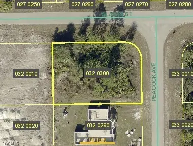 704 Peacock Avenue, Lehigh Acres, FL 33974
