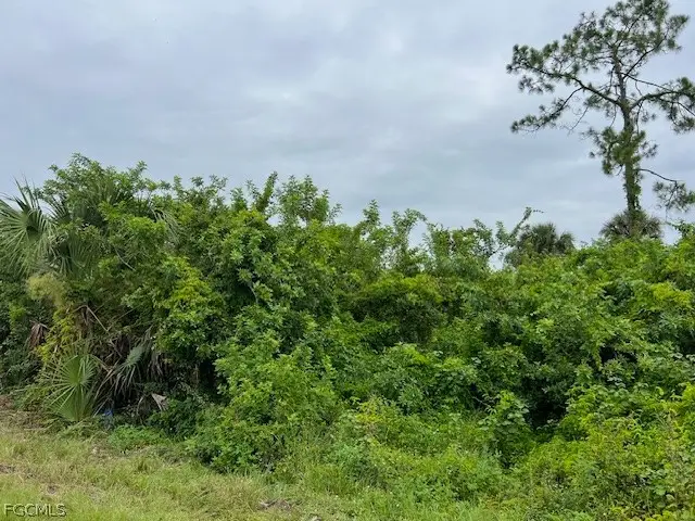 619 Clancy Street E, Lehigh Acres, FL 33974 - #2