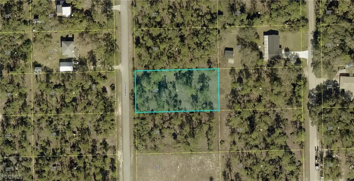 2312 Truman Avenue, Alva, FL 33920 - #1