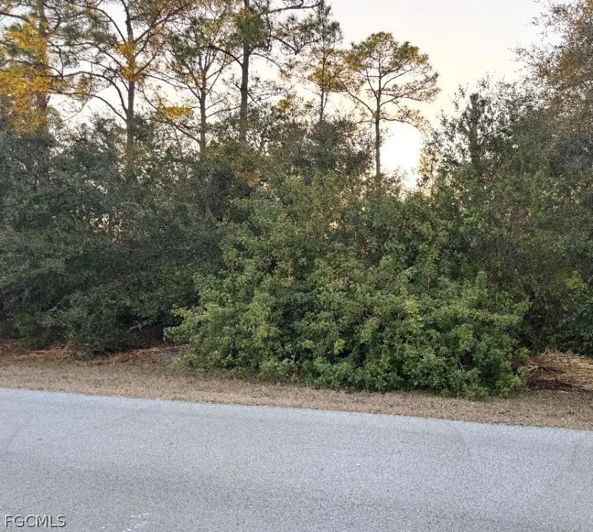 1419 Sheldon Avenue, Lehigh Acres, FL 33972 - #1