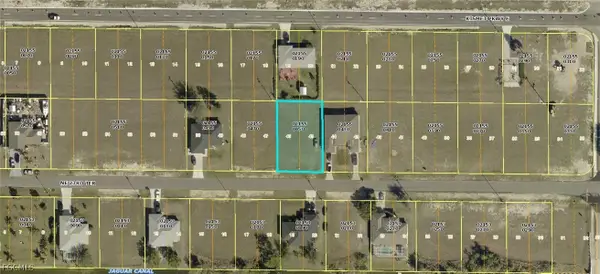 1317 NE 23rd Terrace, Cape Coral, FL 33909