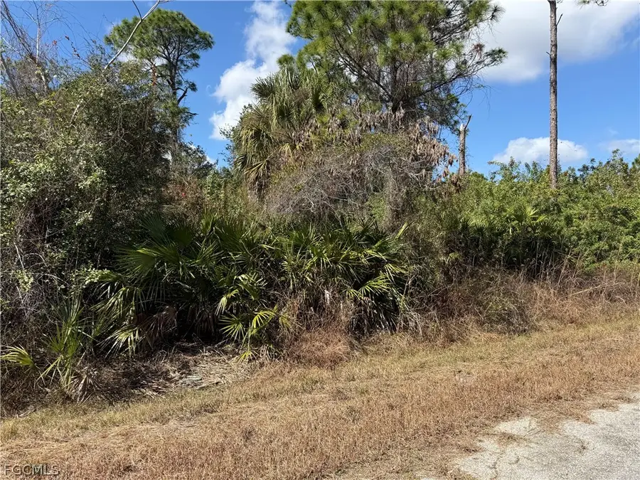 321 Irving Avenue, Lehigh Acres, FL 33936 - #3