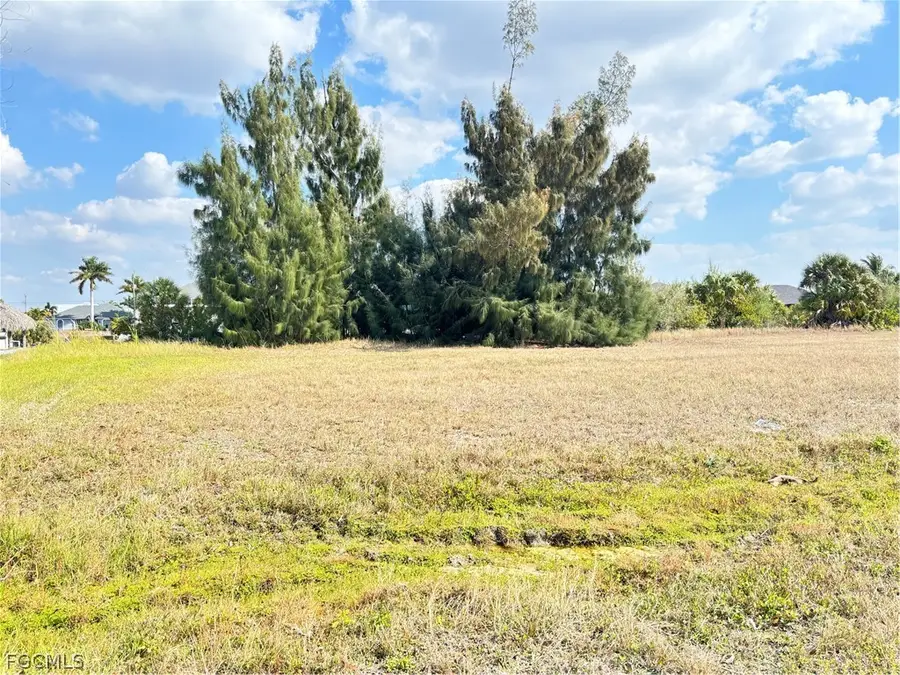 2347 NW 38th Avenue, Cape Coral, FL 33993 - #3