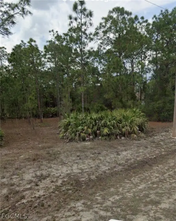 917 Wellington Avenue, Lehigh Acres, FL 33972 - #2