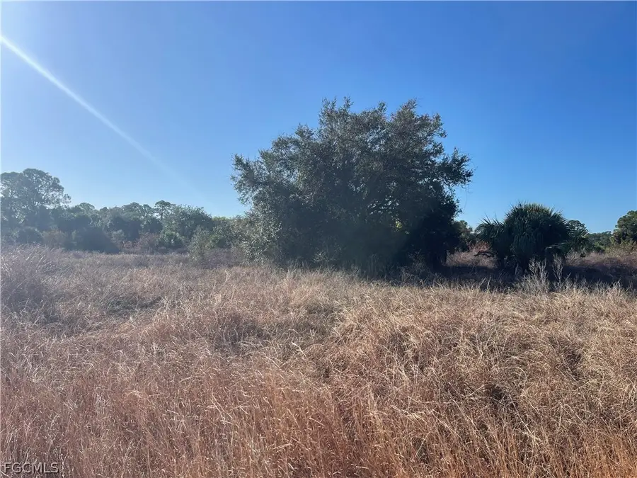 208 John Young Terrace, Labelle, FL 33935 - #3