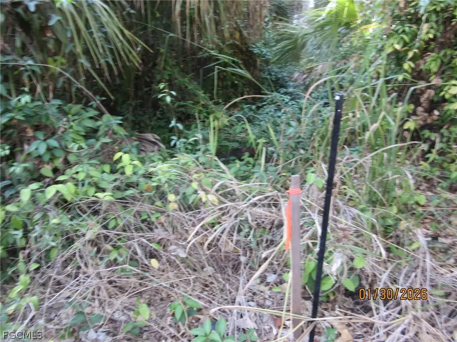 949 Caloosahatchee Avenue, Labelle, FL 33935 - #3