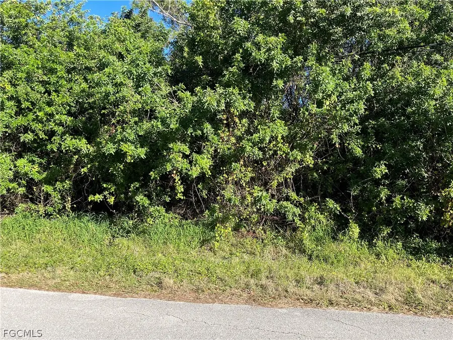 2603 E 7th Street, Lehigh Acres, FL 33936 - #3