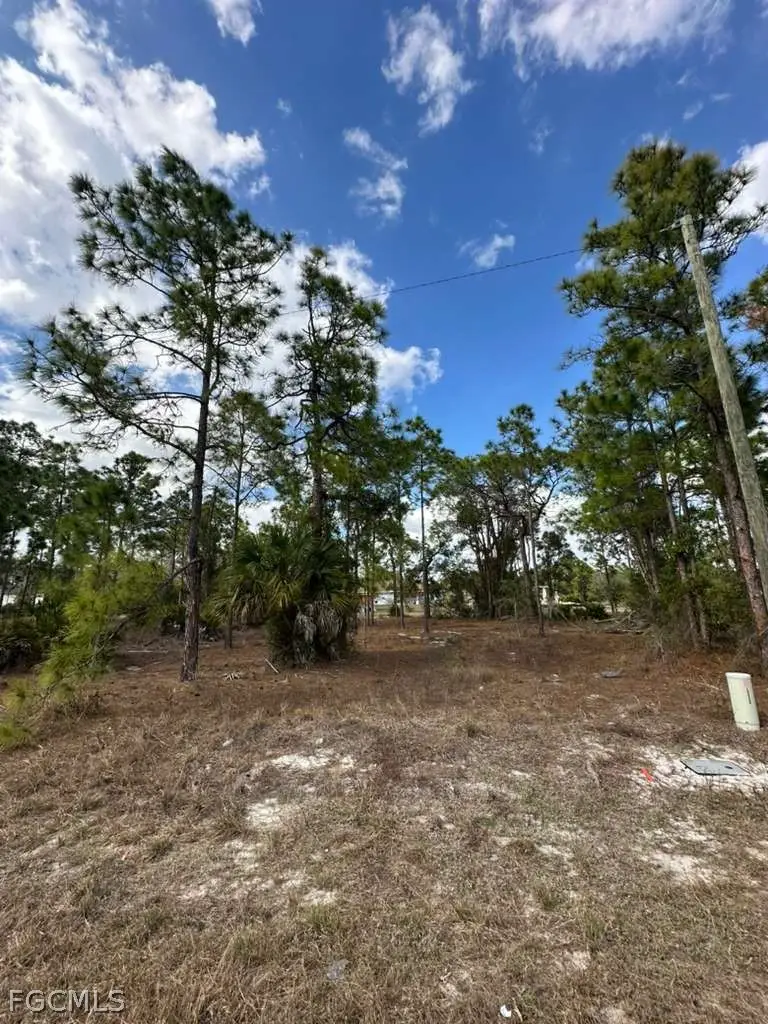 545 Allison Street E, Lehigh Acres, FL 33974 - #2