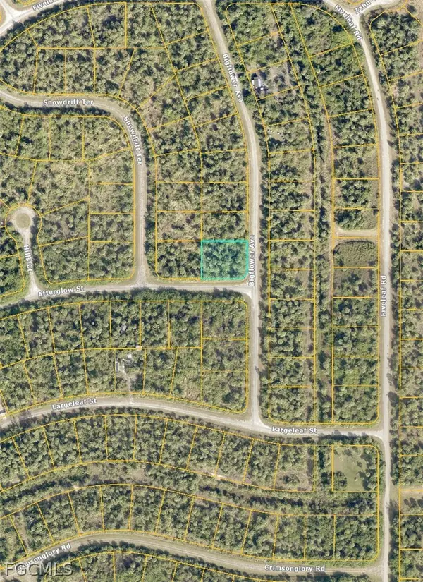 Lot 12 Bigflower Avenue, North Port, FL 34288