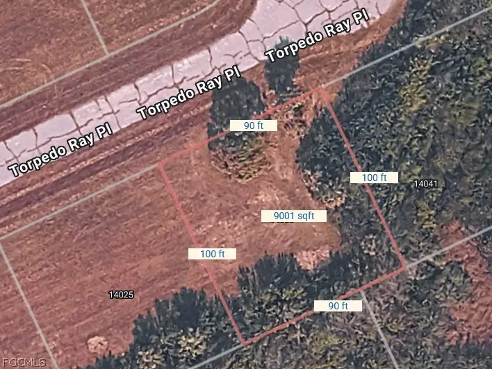 14033 Torpedo-ray Place, Placida, FL 33946 - #2