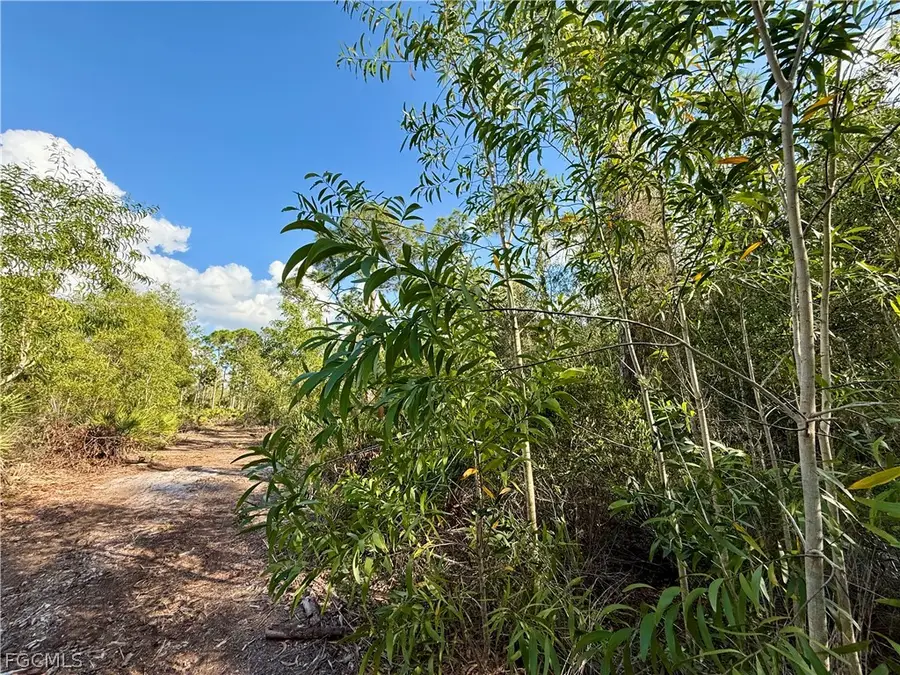 7101 Guava Avenue, Bokeelia, FL 33922 - #3