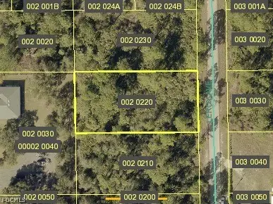 2019 Leroy Avenue, Alva, FL 33920