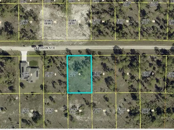 862 Arogon Street E, Lehigh Acres, FL 33974