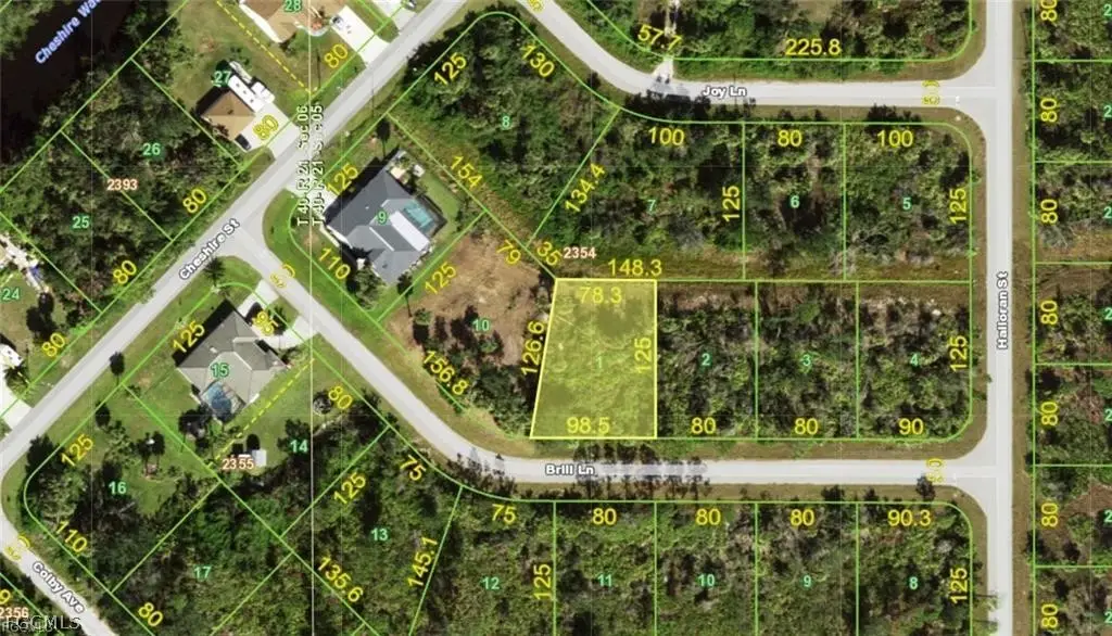 12578 Brill Lane, Port Charlotte, FL 33953 - #1