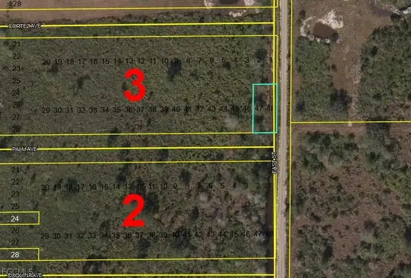 LOTS 47 + 48 Palm Avenue, Labelle, FL 33935