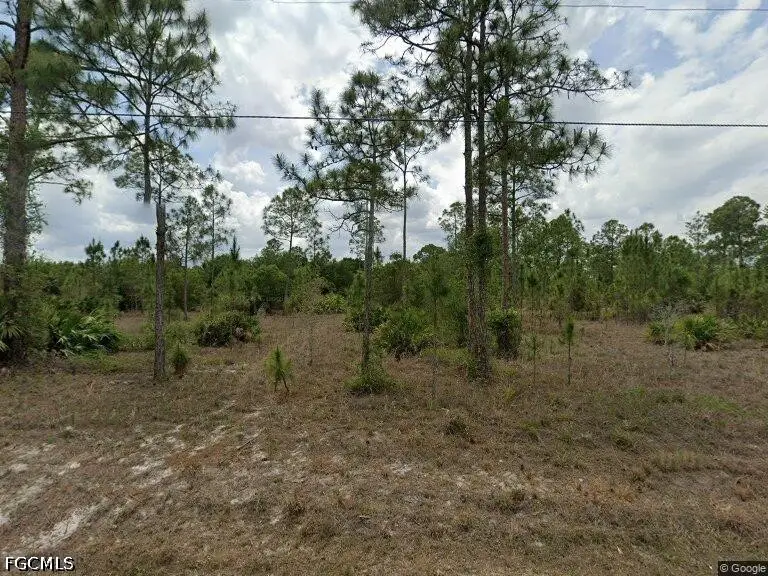 1115 Mcarthur Avenue, Lehigh Acres, FL 33936 - #1