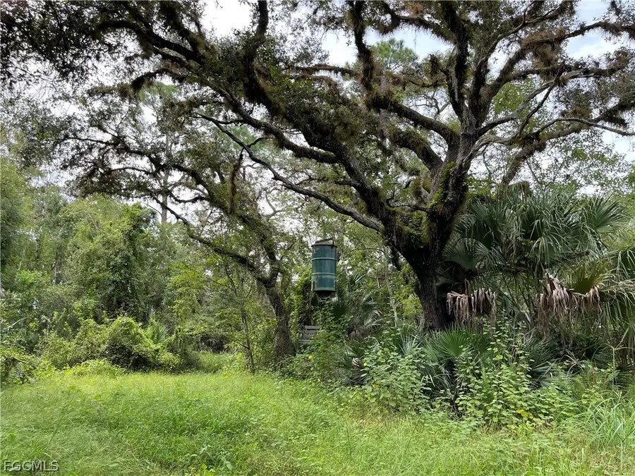 Secretariat Drive, Labelle, FL 33935 - #2