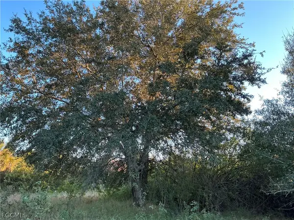 5801 4th Road, Labelle, FL 33935