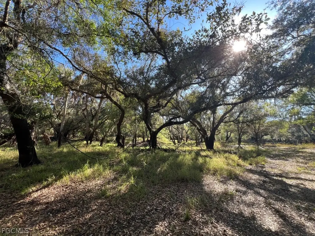 Address Withheld By Seller, Arcadia, FL 34266 - #1