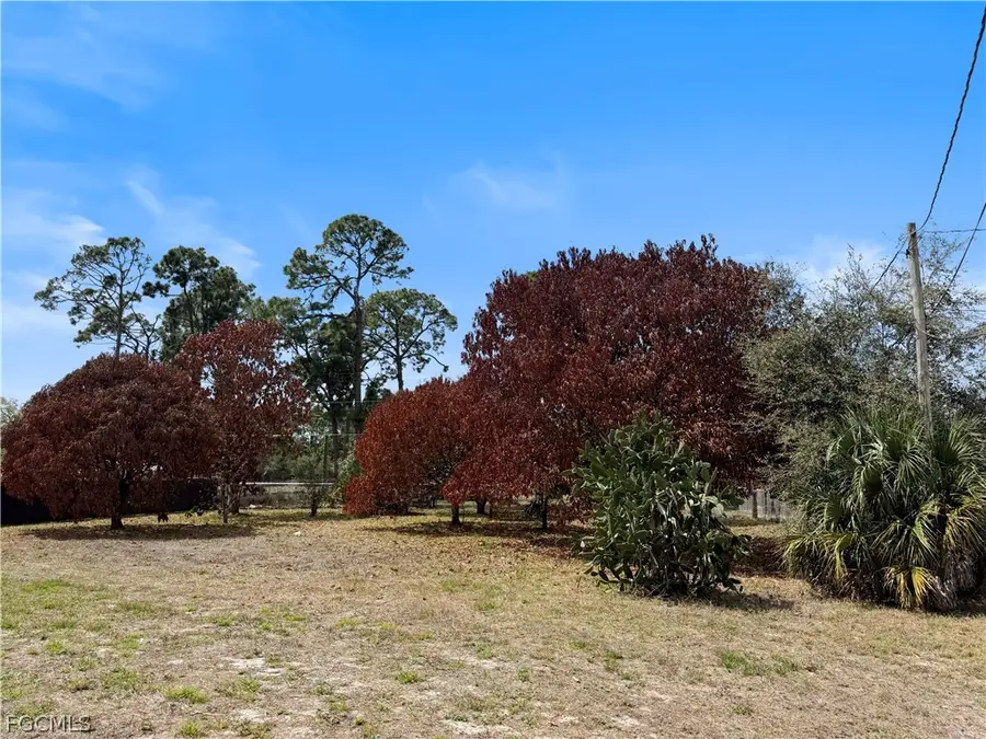 209 Mcarthur Avenue, Lehigh Acres, FL 33936 - #2