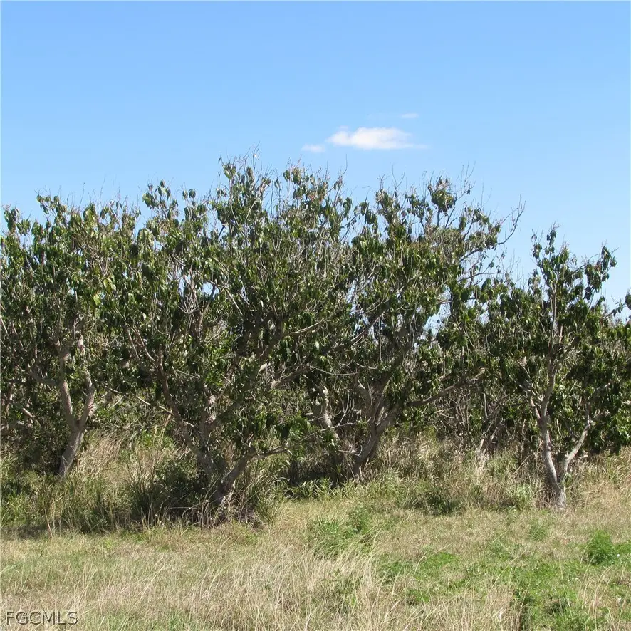 13171 Samadani Lane, Bokeelia, FL 33922 - #1