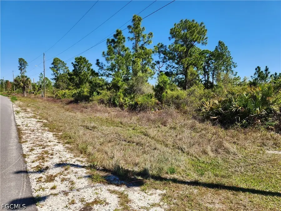 1013 Elgin Street, Lehigh Acres, FL 33974 - #3
