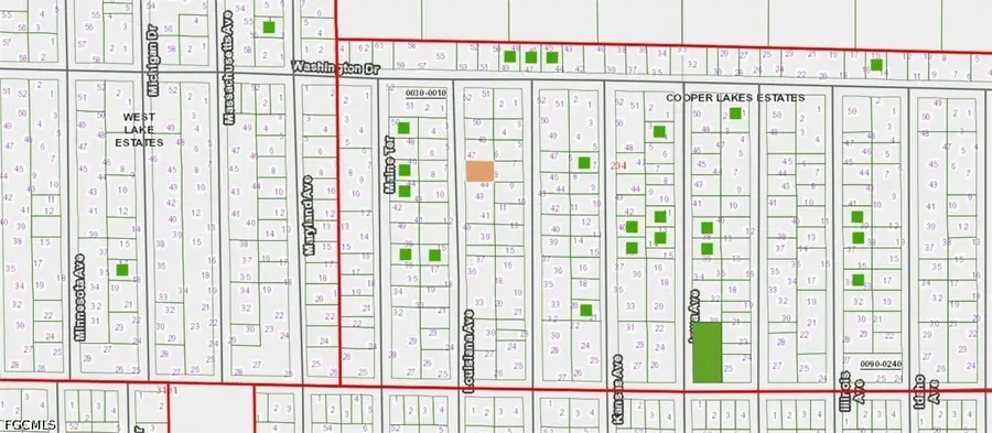 Louisiana Avenue, Hawthorne, FL 32640 - #2