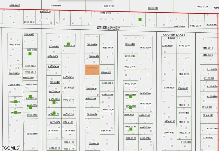 Indiana Avenue, Hawthorne, FL 32640 - #3