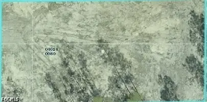 1308 Maple Avenue N, Lehigh Acres, FL 33972 - #1