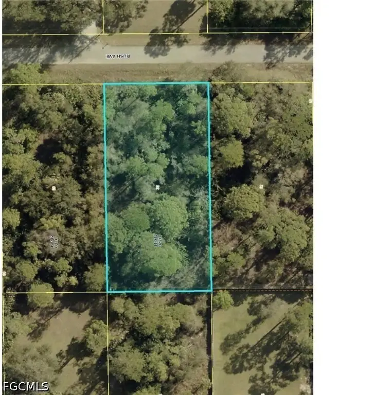 1117 Rush Avenue, Lehigh Acres, FL 33972 - #1