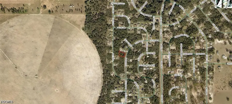 9012-0183-07 Olive Road, Ocala, FL 34472 - #3