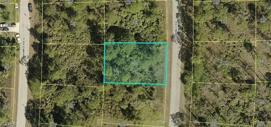 512 Flamingo Avenue, Lehigh Acres, FL 33974 - #2