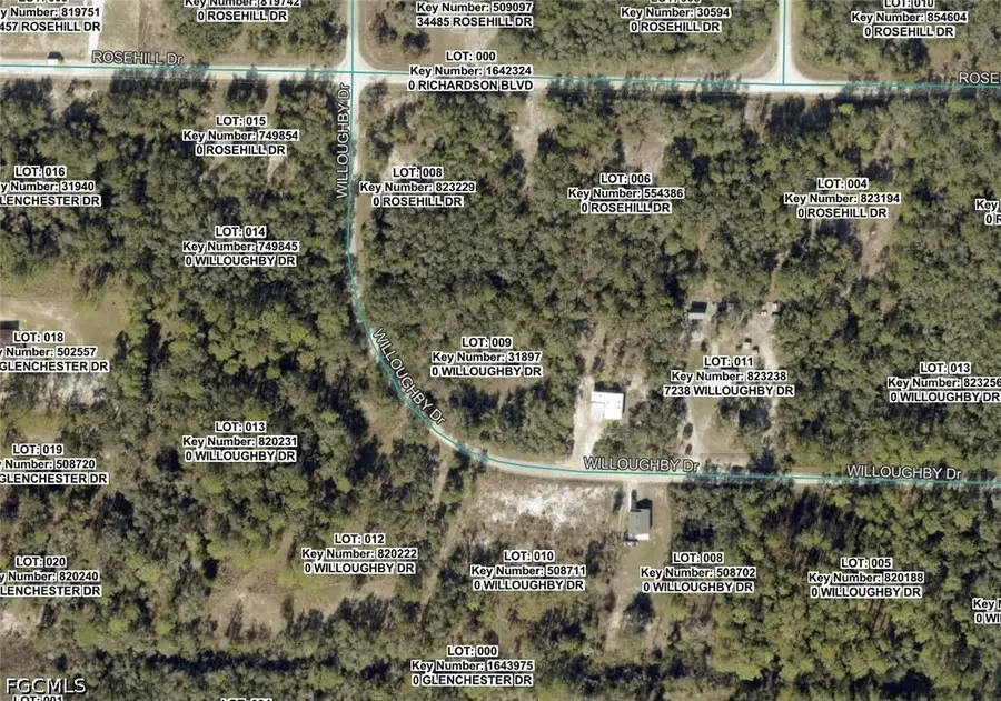 7292 Willoughby Drive, Webster, FL 33597 - #3