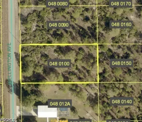 1104 Wellington Avenue, Lehigh Acres, FL 33972 - #1