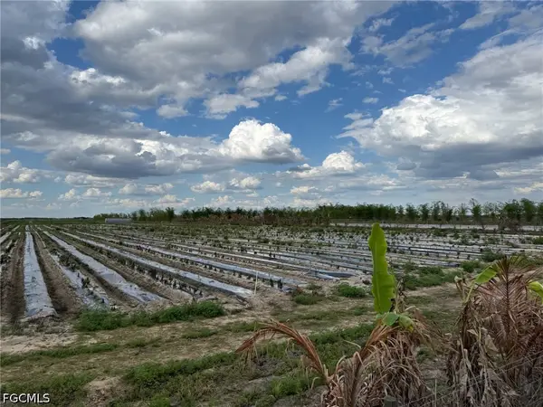 6550 1st Road, Labelle, FL 33935