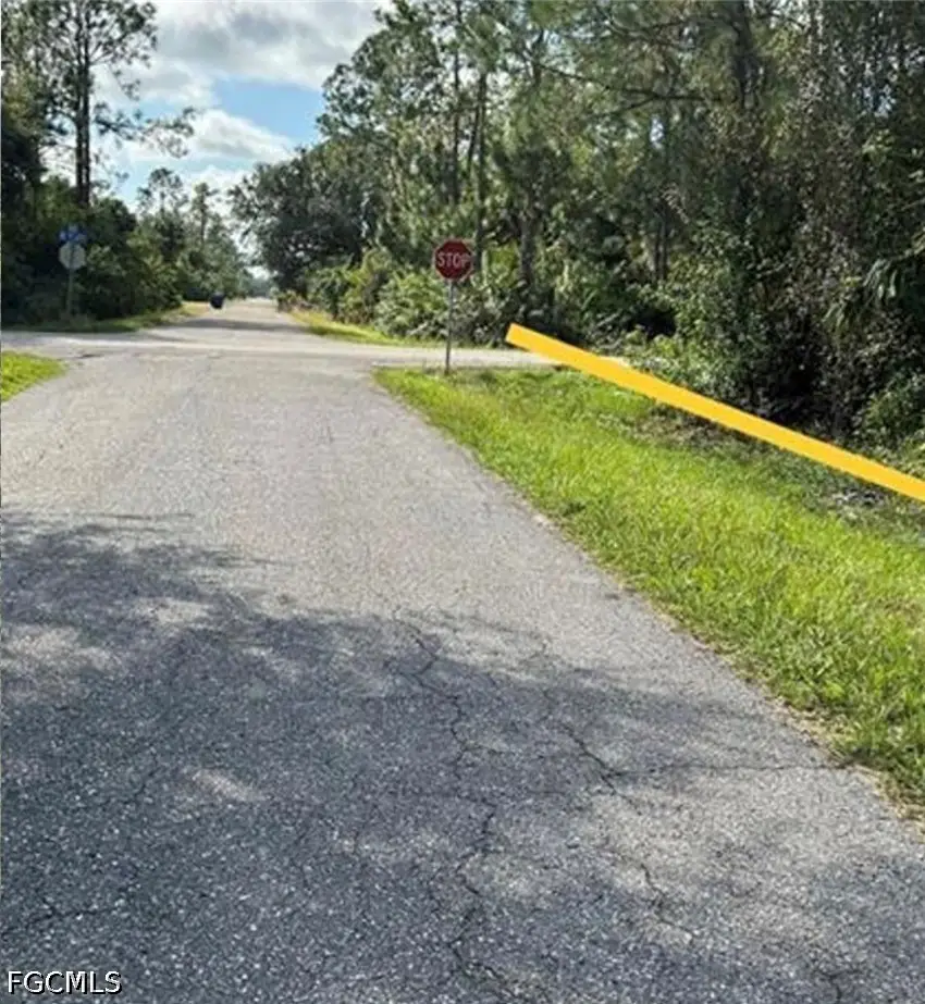 703 Michael Avenue, Lehigh Acres, FL 33936 - #2