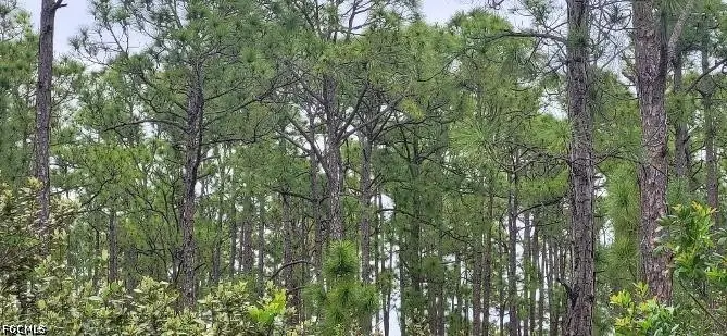 27274 Green Gulf Boulevard, Punta Gorda, FL 33967 - #1