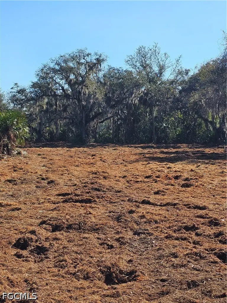 16470 B1 Daughtreys Creek Road, North Fort Myers, FL 33917 - #2